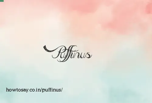 Puffinus