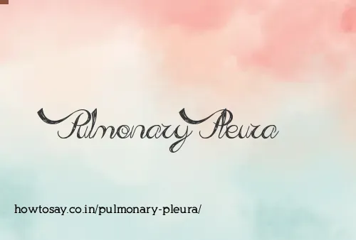 Pulmonary Pleura
