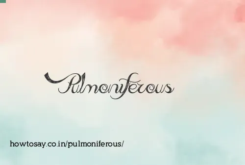Pulmoniferous