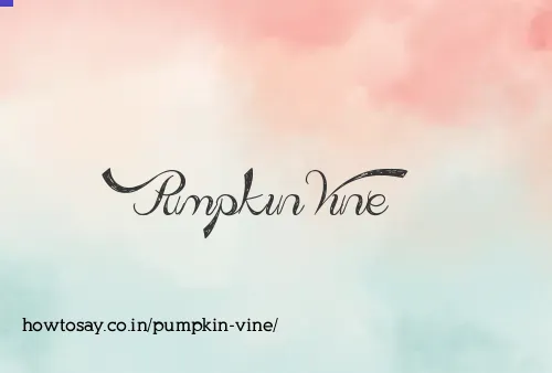 Pumpkin Vine