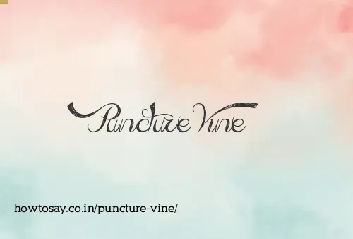 Puncture Vine