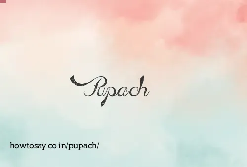 Pupach