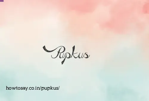 Pupkus