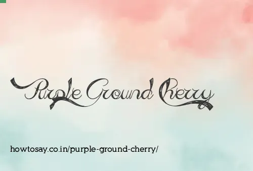 Purple Ground Cherry