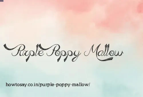 Purple Poppy Mallow