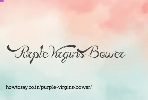 Purple Virgins Bower