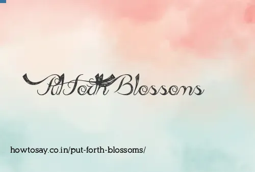 Put Forth Blossoms