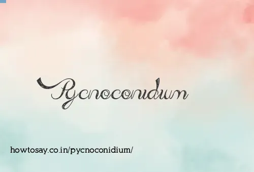 Pycnoconidium