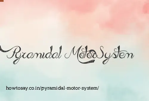 Pyramidal Motor System