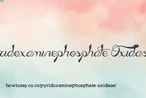 Pyridoxaminephosphate Oxidase