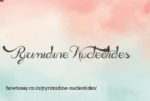 Pyrimidine Nucleotides