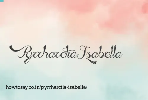Pyrrharctia Isabella