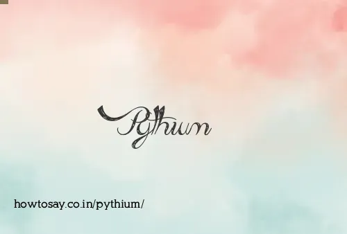 Pythium