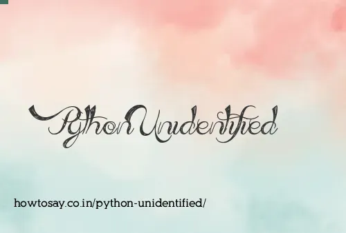 Python Unidentified