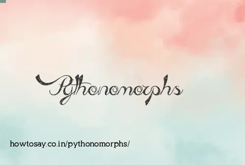 Pythonomorphs