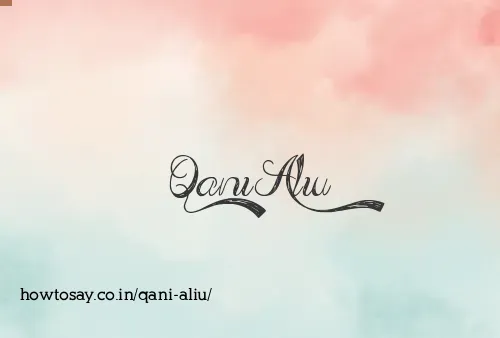 Qani Aliu