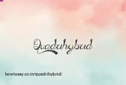 Quadrihybrid