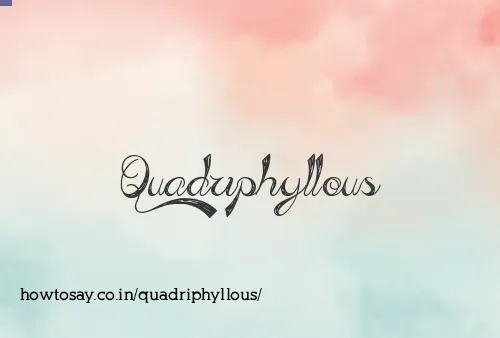 Quadriphyllous