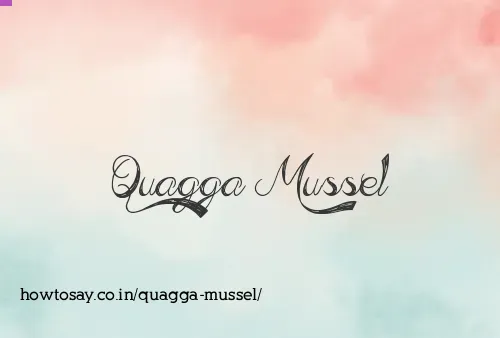Quagga Mussel