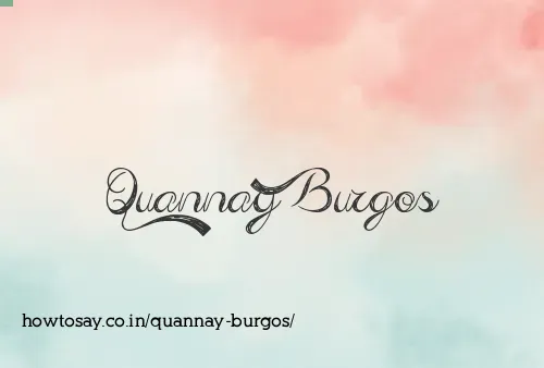 Quannay Burgos