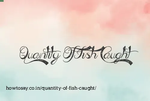 Quantity Of Fish Caught
