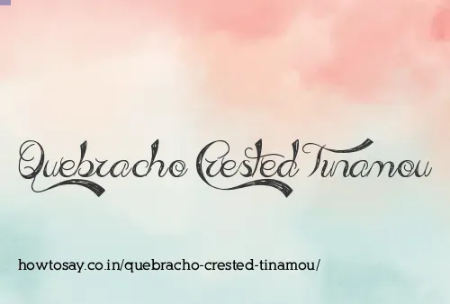 Quebracho Crested Tinamou
