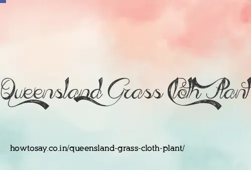 Queensland Grass Cloth Plant