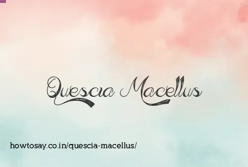 Quescia Macellus