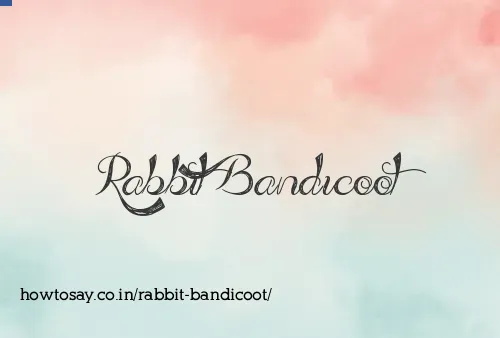 Rabbit Bandicoot