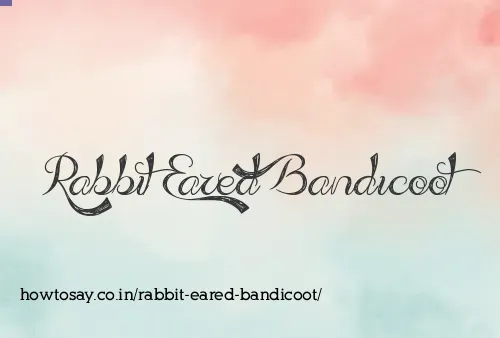 Rabbit Eared Bandicoot