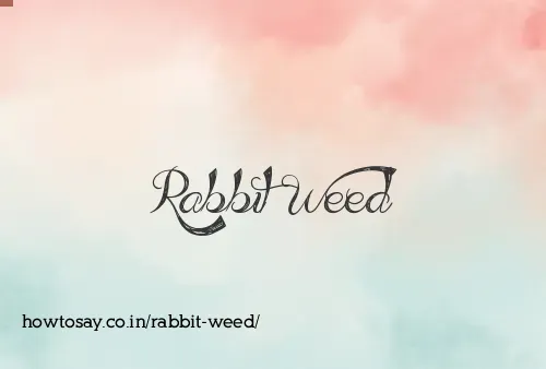 Rabbit Weed