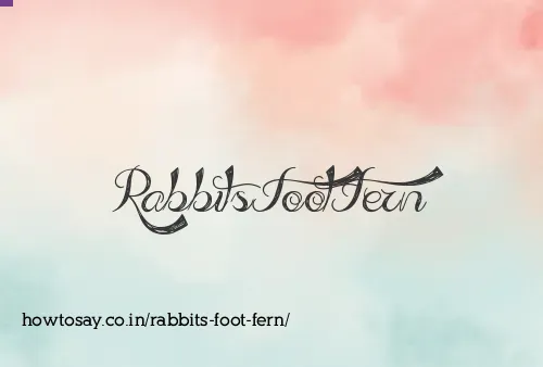 Rabbits Foot Fern