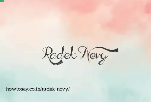 Radek Novy