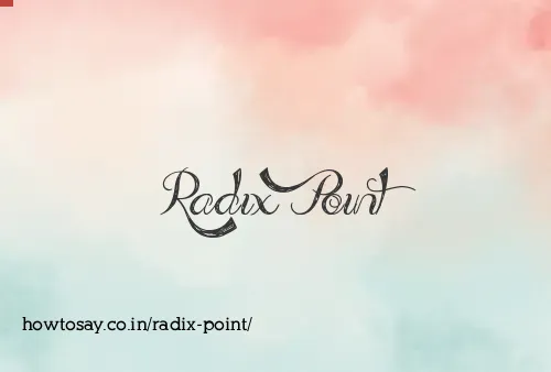 Radix Point