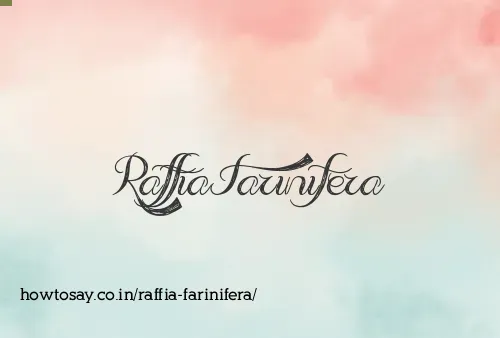 Raffia Farinifera
