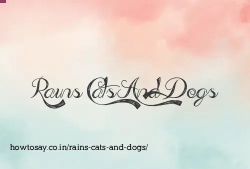Rains Cats And Dogs