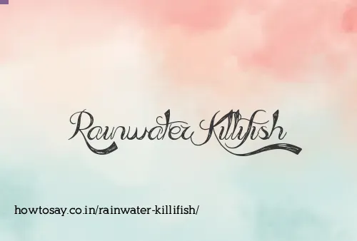 Rainwater Killifish