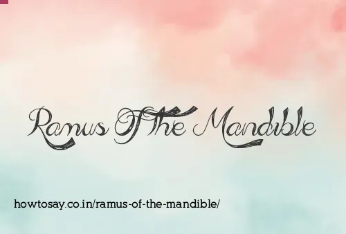Ramus Of The Mandible