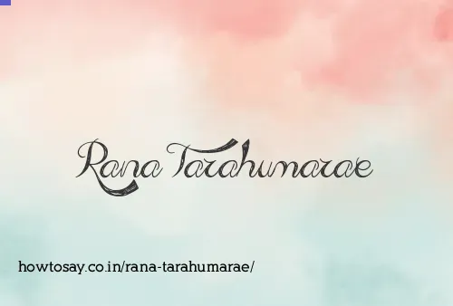 Rana Tarahumarae