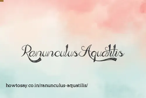 Ranunculus Aquatilis