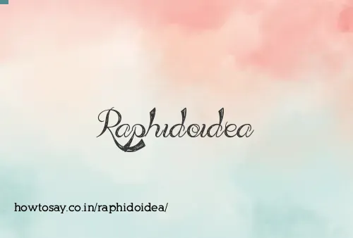 Raphidoidea