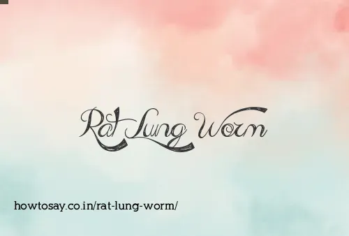 Rat Lung Worm