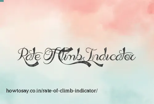 Rate Of Climb Indicator