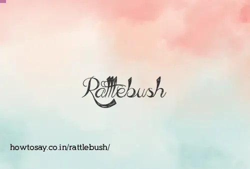 Rattlebush