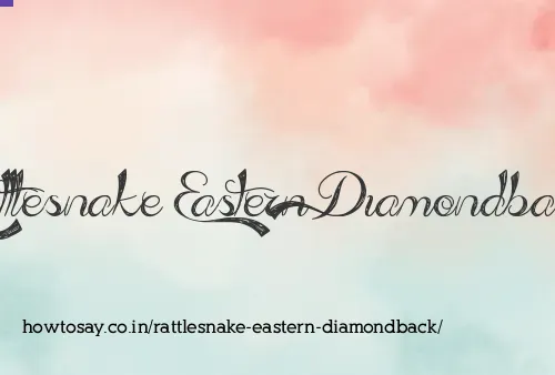 Rattlesnake Eastern Diamondback