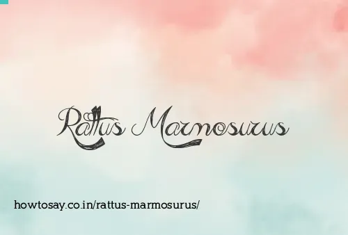 Rattus Marmosurus