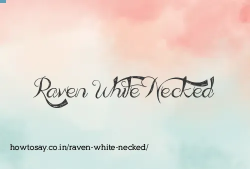 Raven White Necked
