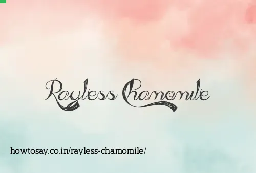 Rayless Chamomile