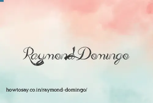 Raymond Domingo