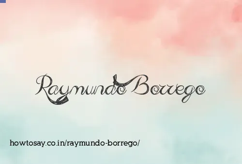 Raymundo Borrego